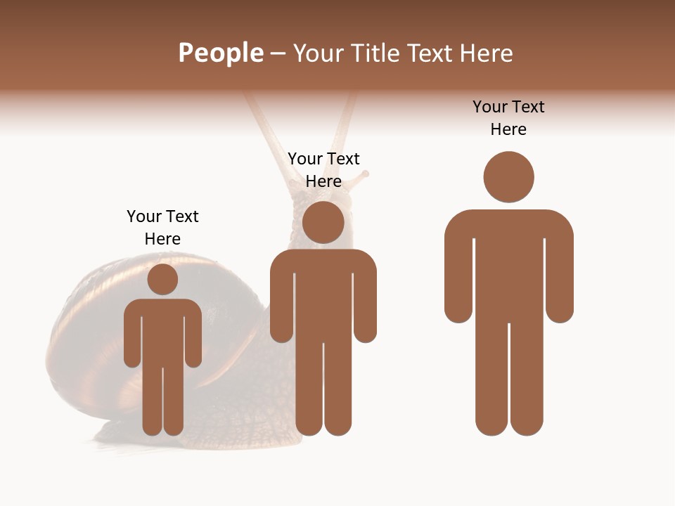 Cute Looking Snail PowerPoint Template