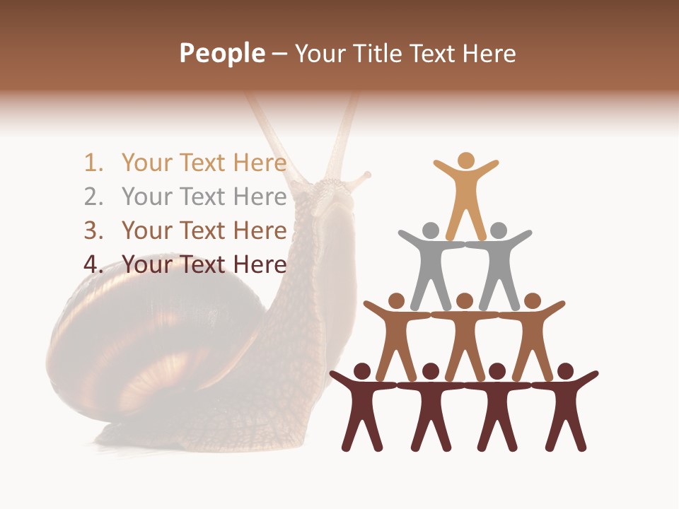 Cute Looking Snail PowerPoint Template
