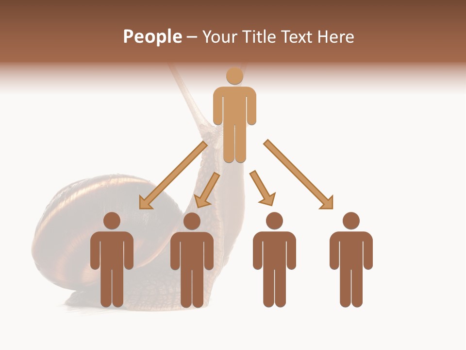 Cute Looking Snail PowerPoint Template