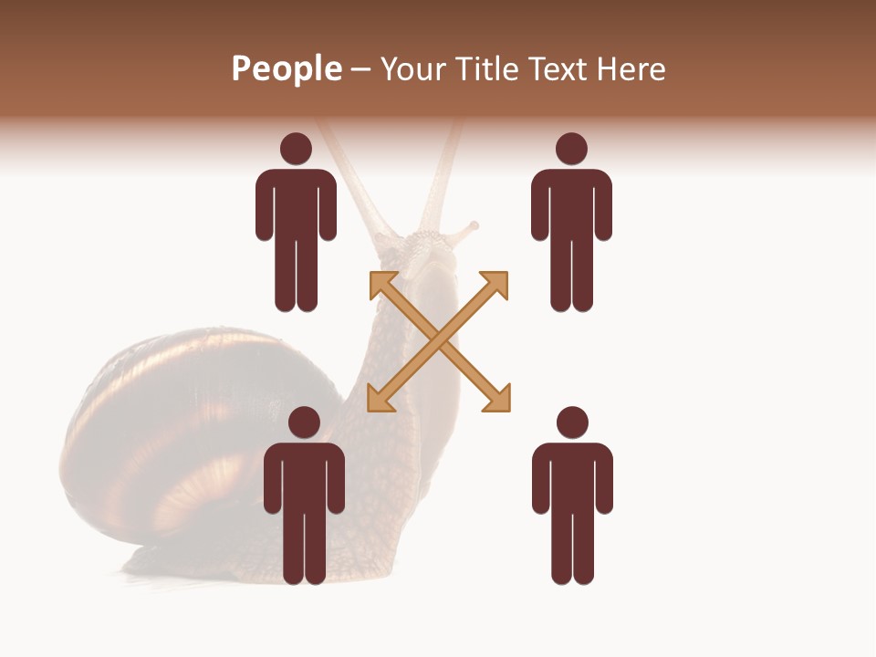 Cute Looking Snail PowerPoint Template