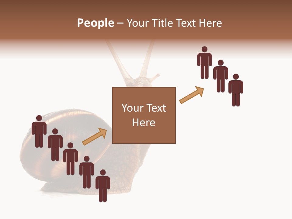 Cute Looking Snail PowerPoint Template