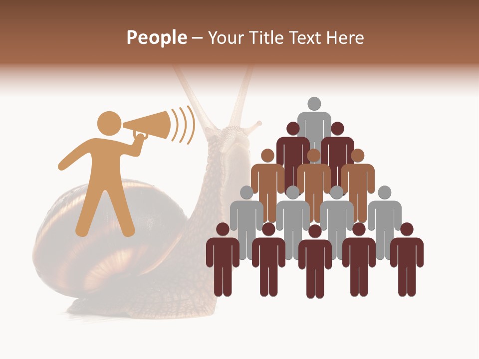 Cute Looking Snail PowerPoint Template