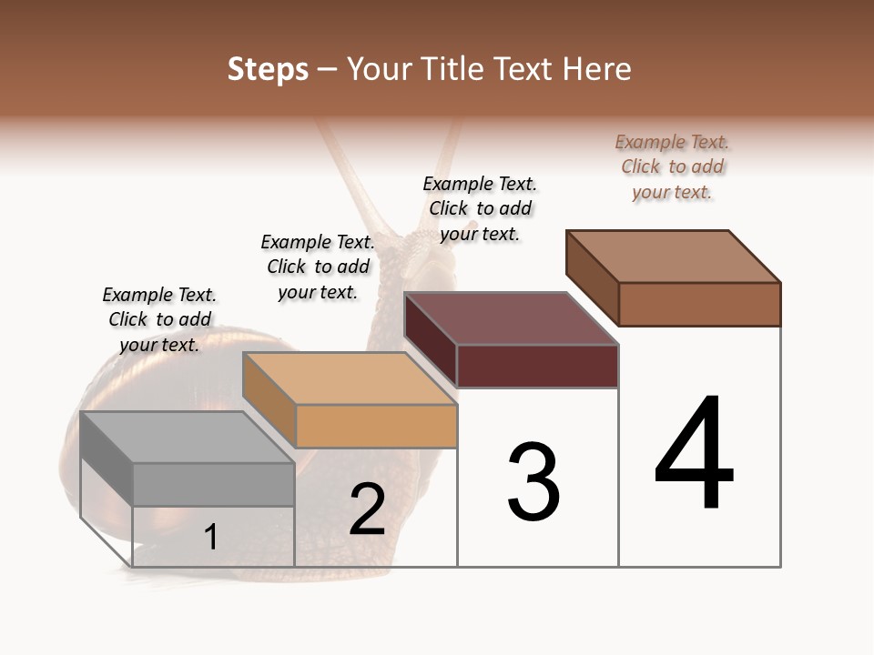 Cute Looking Snail PowerPoint Template