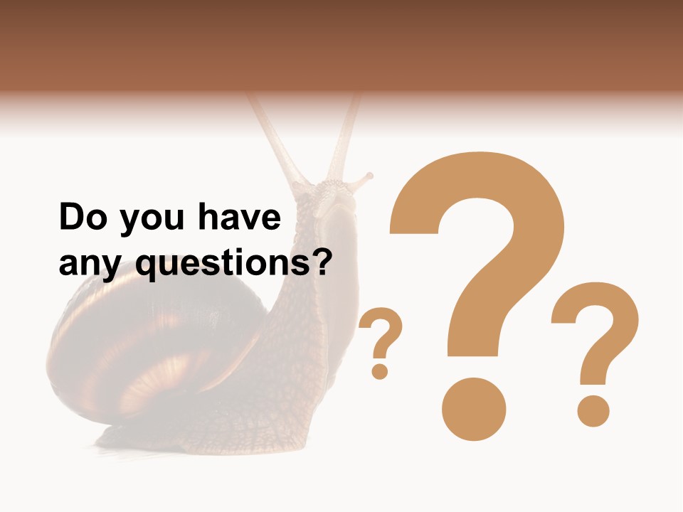 Cute Looking Snail PowerPoint Template