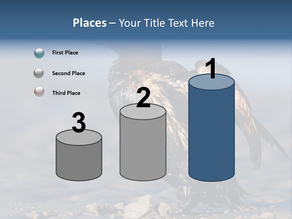 Marine Error Nature PowerPoint Template