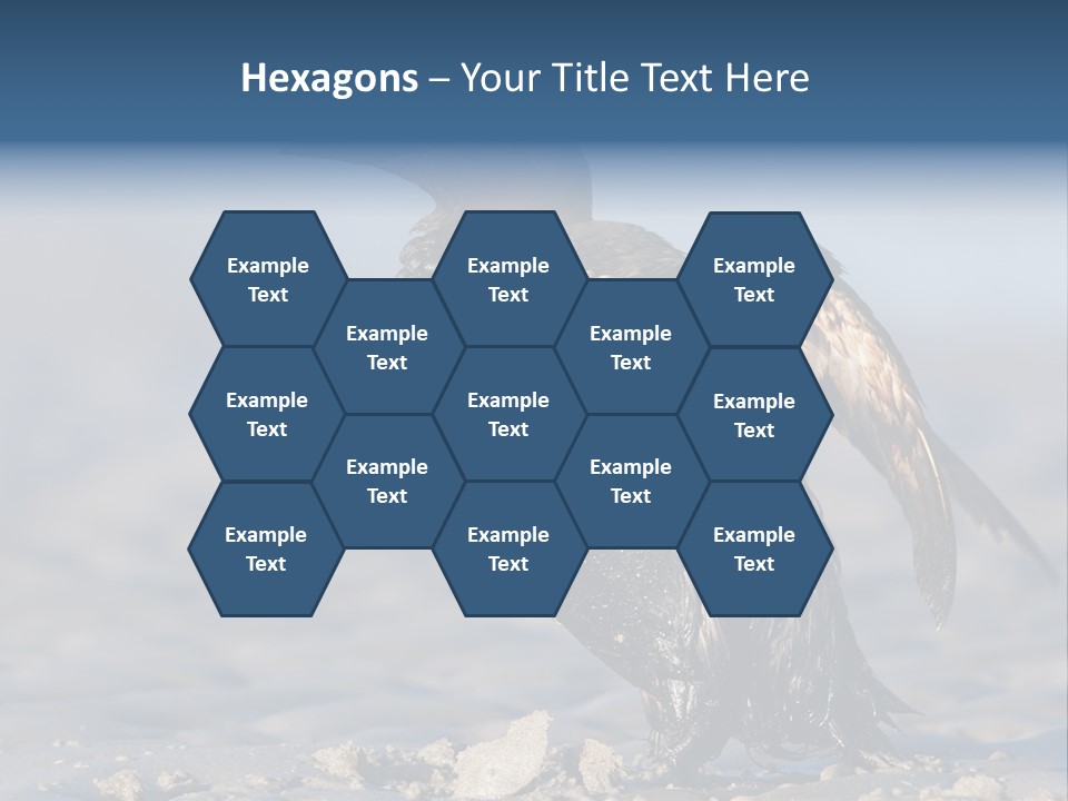 Marine Error Nature PowerPoint Template