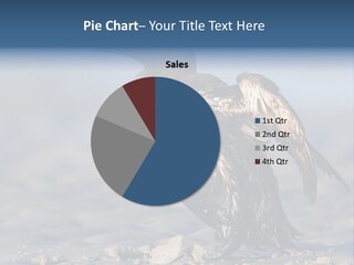 Marine Error Nature PowerPoint Template