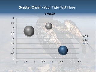 Marine Error Nature PowerPoint Template