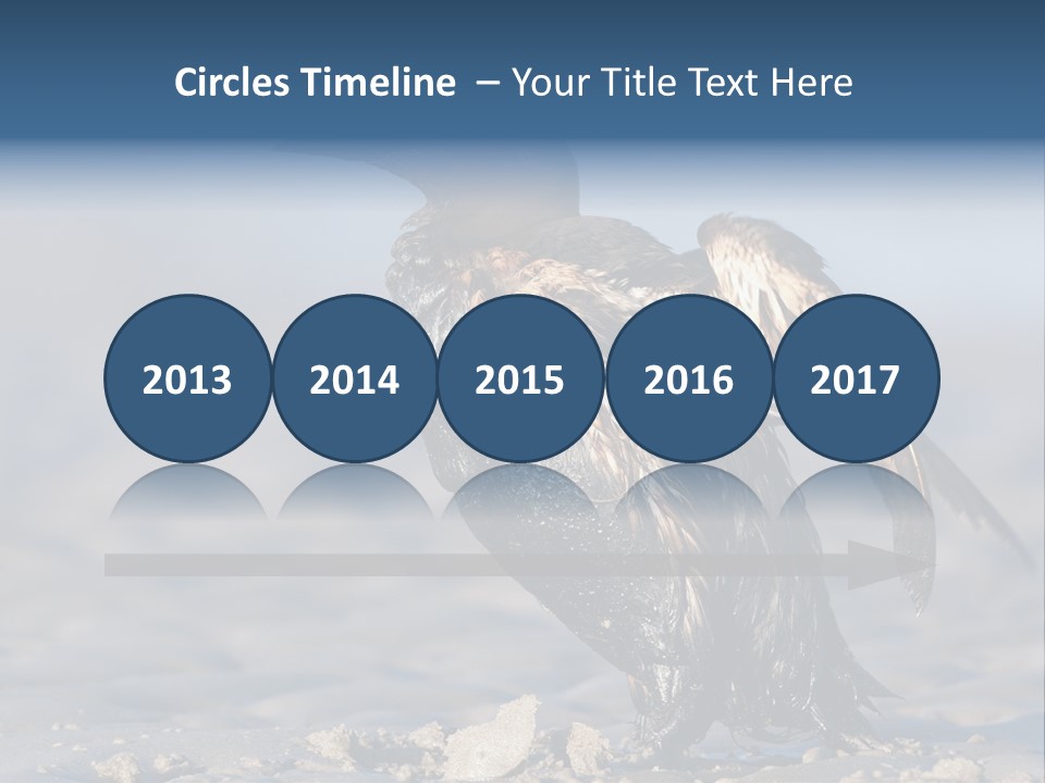Marine Error Nature PowerPoint Template