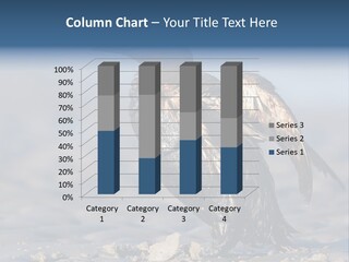 Marine Error Nature PowerPoint Template