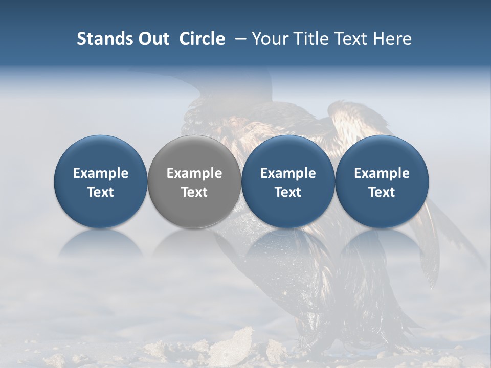 Marine Error Nature PowerPoint Template