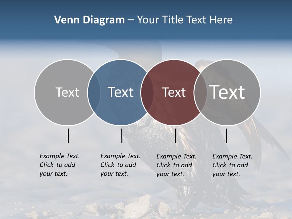 Marine Error Nature PowerPoint Template