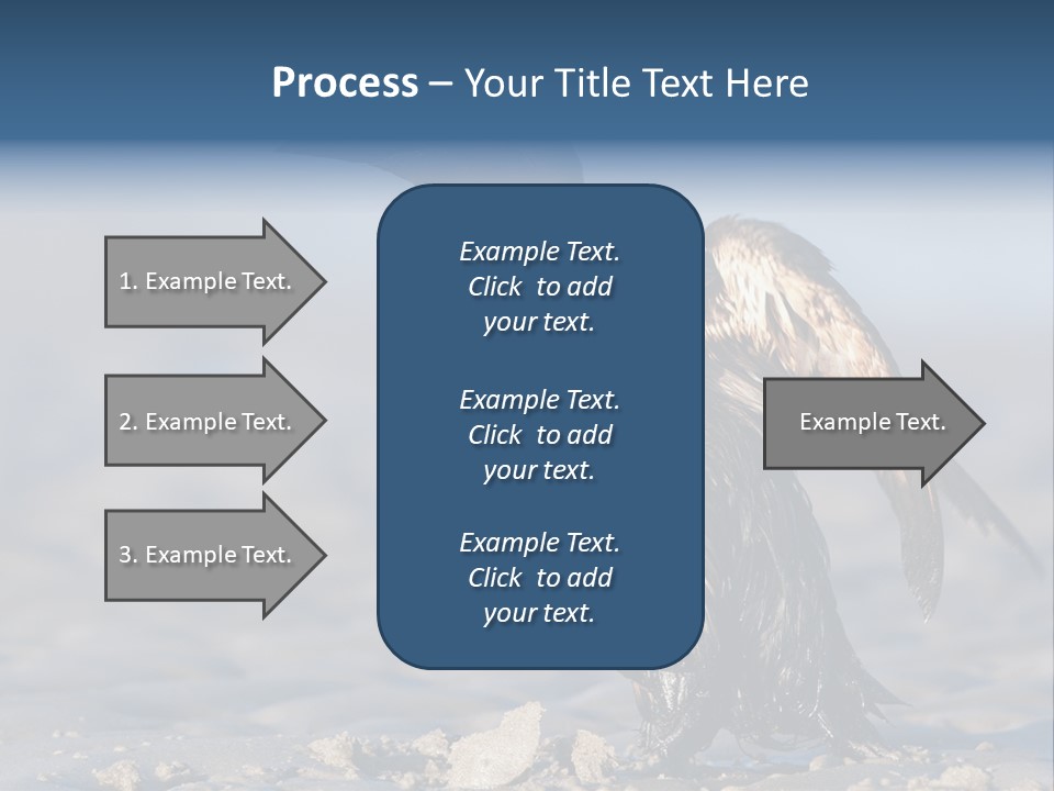 Marine Error Nature PowerPoint Template