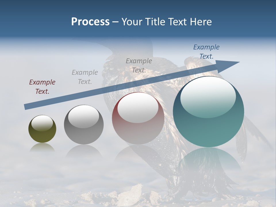 Marine Error Nature PowerPoint Template