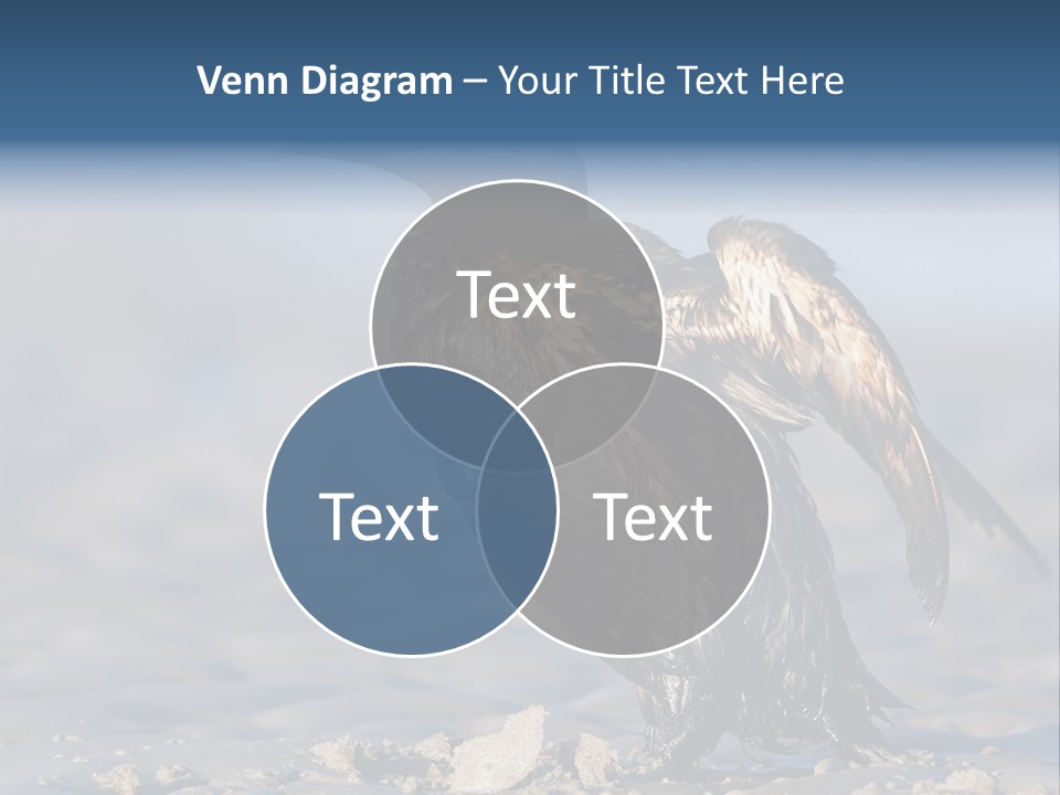 Marine Error Nature PowerPoint Template