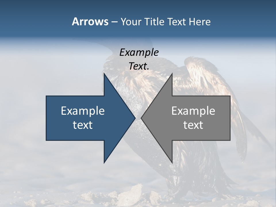 Marine Error Nature PowerPoint Template