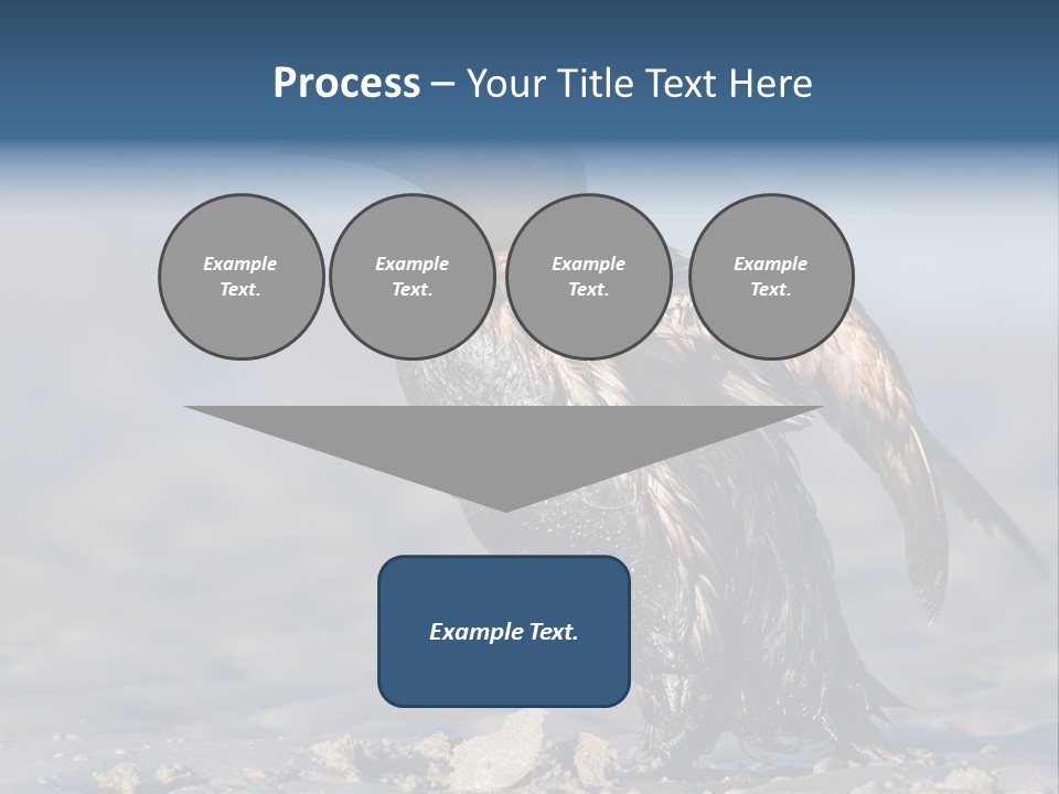 Marine Error Nature PowerPoint Template