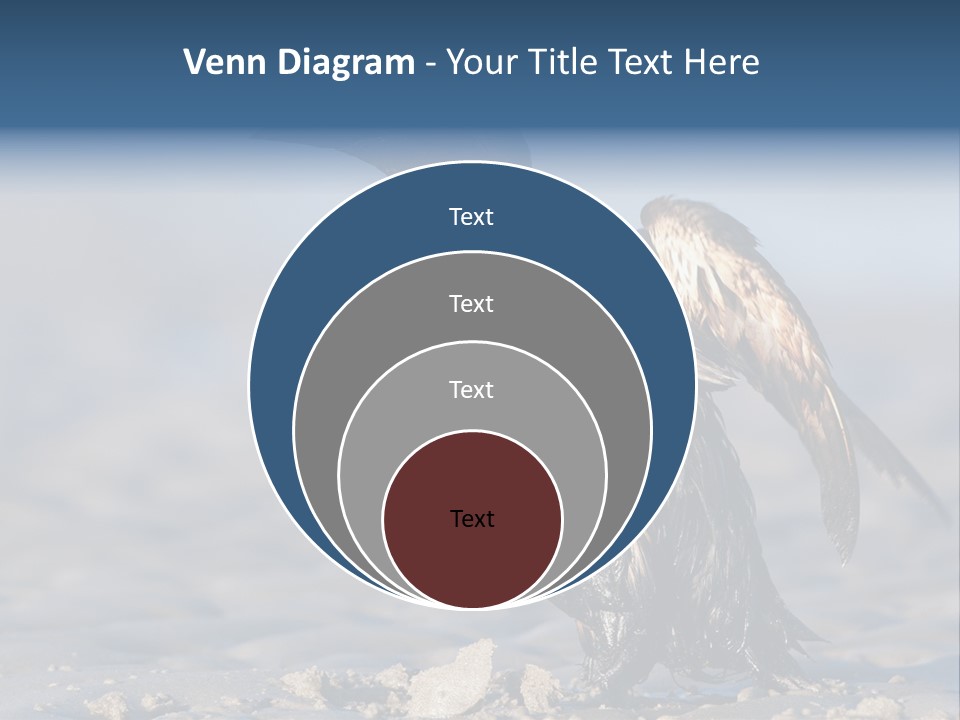 Marine Error Nature PowerPoint Template