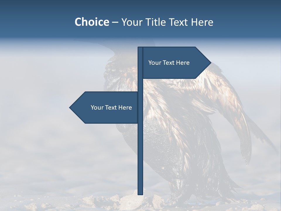 Marine Error Nature PowerPoint Template