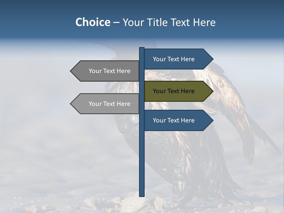 Marine Error Nature PowerPoint Template