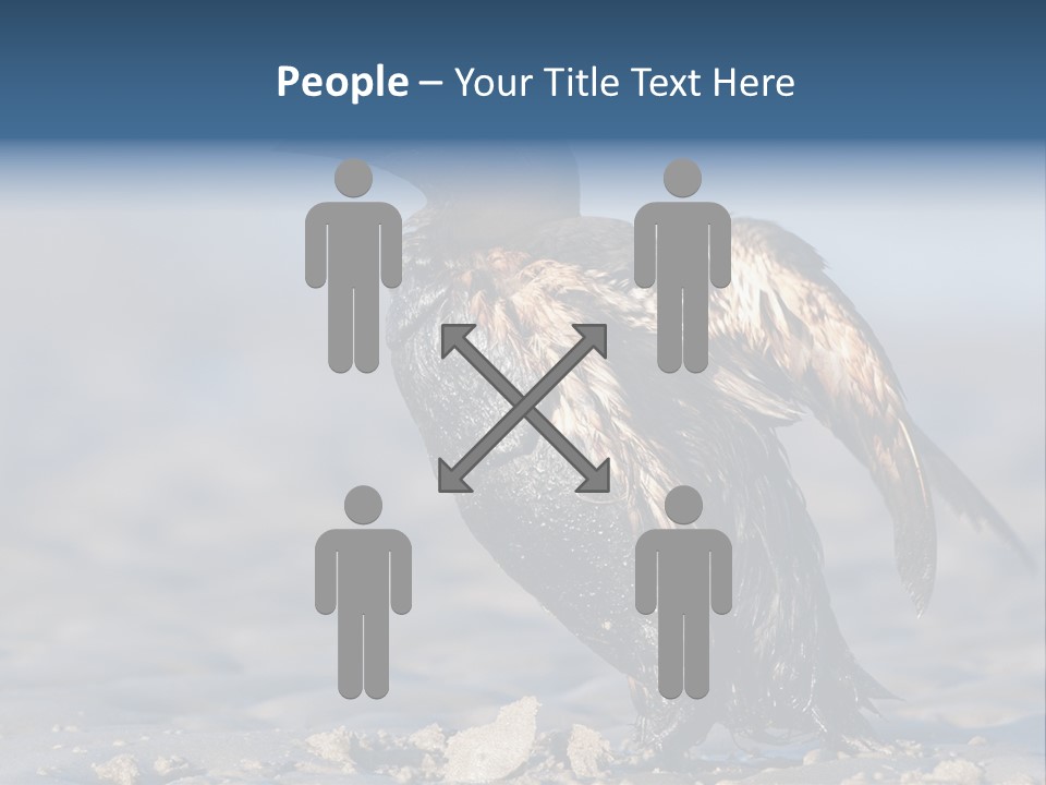 Marine Error Nature PowerPoint Template