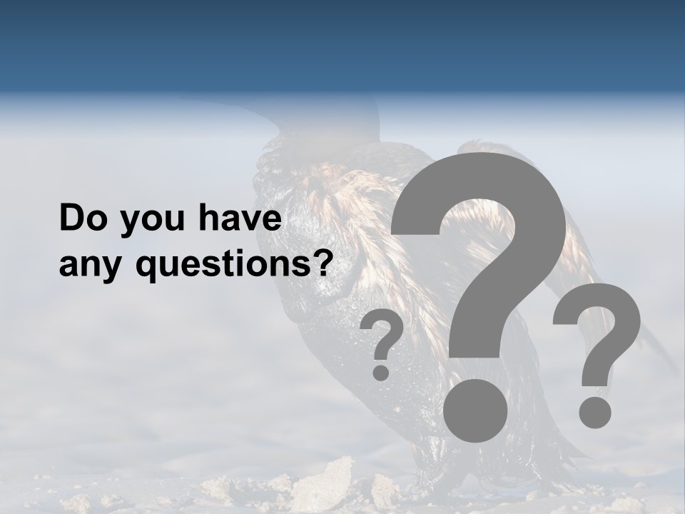 Marine Error Nature PowerPoint Template