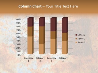 Material Rust Aged PowerPoint Template