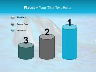 Happy Dolphin Flipper PowerPoint Template