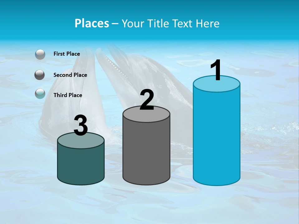 Happy Dolphin Flipper PowerPoint Template