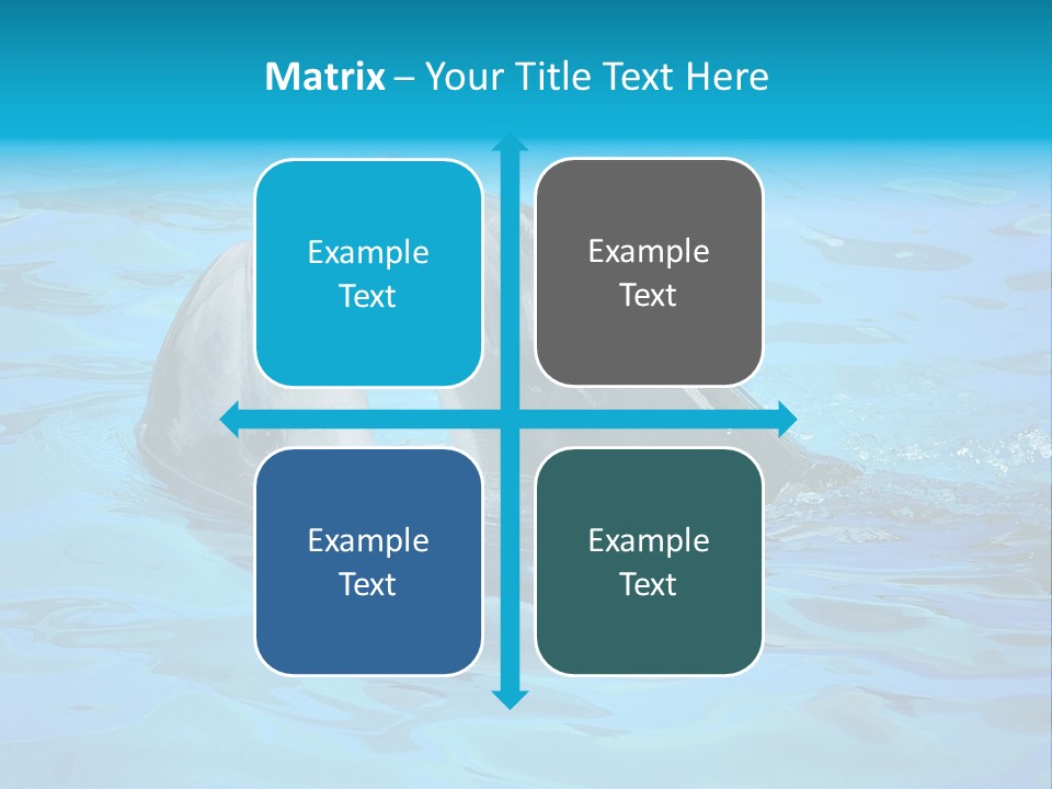 Happy Dolphin Flipper PowerPoint Template