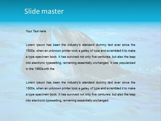 Happy Dolphin Flipper PowerPoint Template