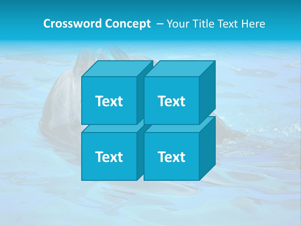 Happy Dolphin Flipper PowerPoint Template