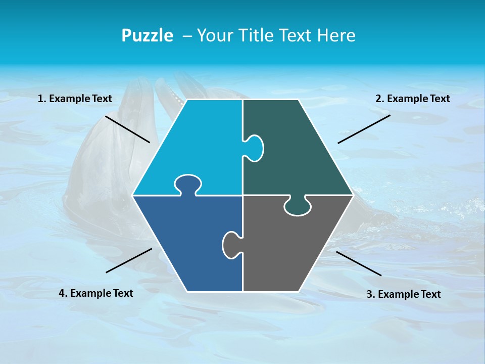 Happy Dolphin Flipper PowerPoint Template