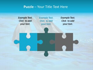 Happy Dolphin Flipper PowerPoint Template