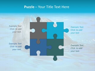 Happy Dolphin Flipper PowerPoint Template