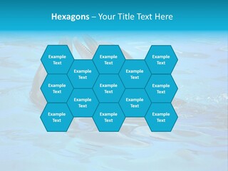 Happy Dolphin Flipper PowerPoint Template