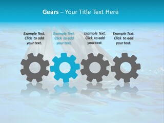 Happy Dolphin Flipper PowerPoint Template