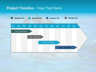 Happy Dolphin Flipper PowerPoint Template