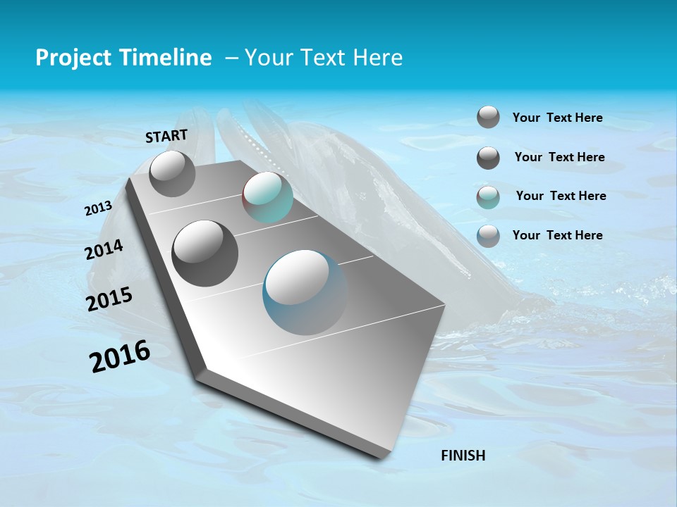 Happy Dolphin Flipper PowerPoint Template