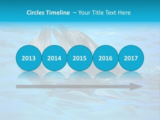 Happy Dolphin Flipper PowerPoint Template