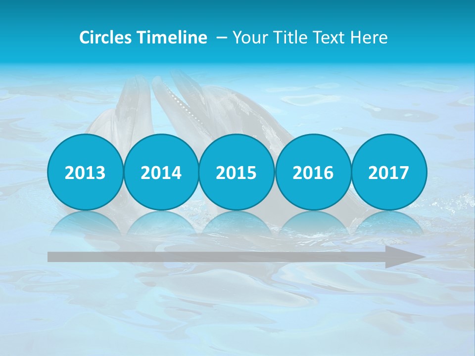 Happy Dolphin Flipper PowerPoint Template