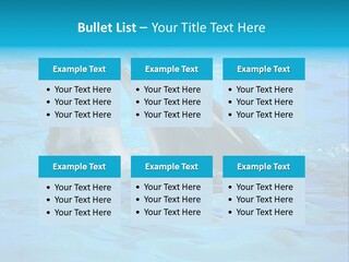 Happy Dolphin Flipper PowerPoint Template