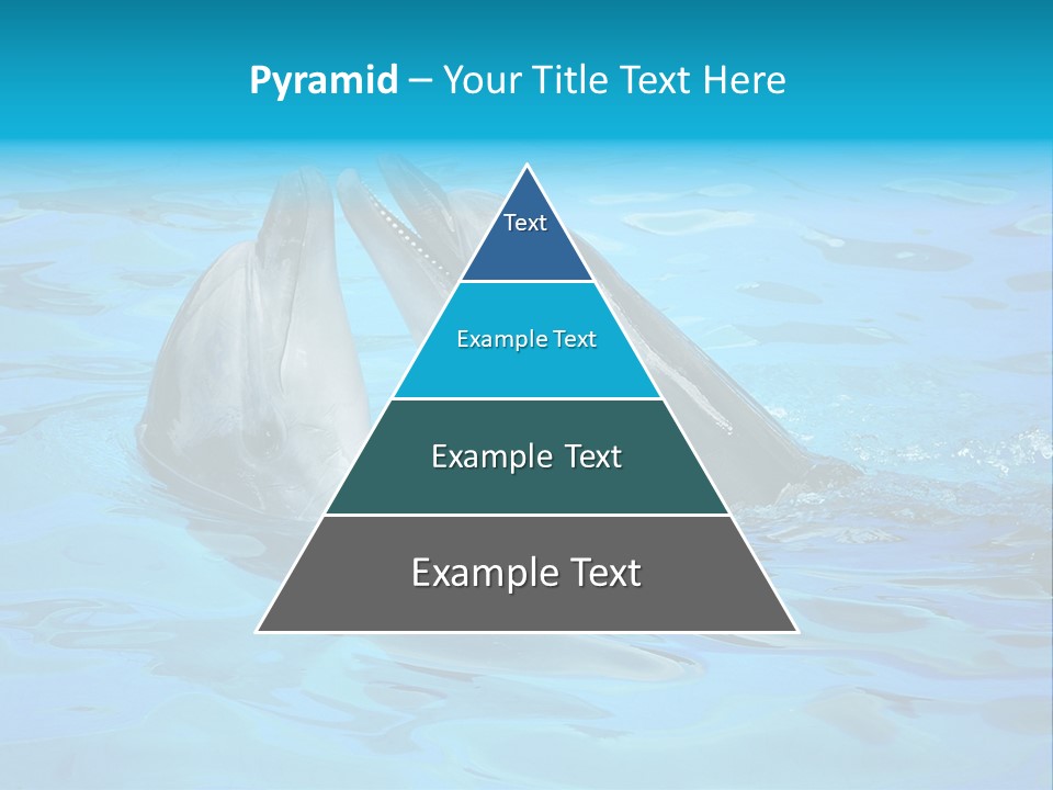 Happy Dolphin Flipper PowerPoint Template