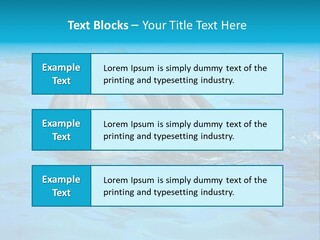 Happy Dolphin Flipper PowerPoint Template