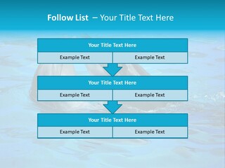 Happy Dolphin Flipper PowerPoint Template