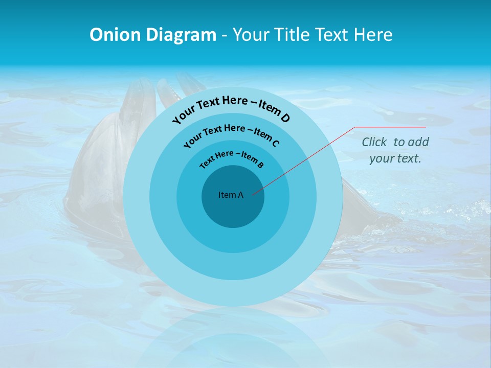 Happy Dolphin Flipper PowerPoint Template
