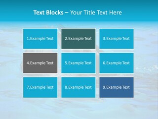 Happy Dolphin Flipper PowerPoint Template