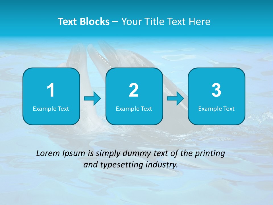 Happy Dolphin Flipper PowerPoint Template