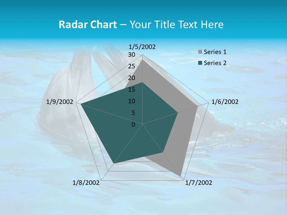 Happy Dolphin Flipper PowerPoint Template