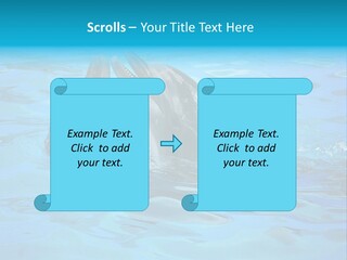 Happy Dolphin Flipper PowerPoint Template